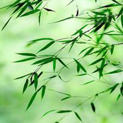 原神网易客户端下载